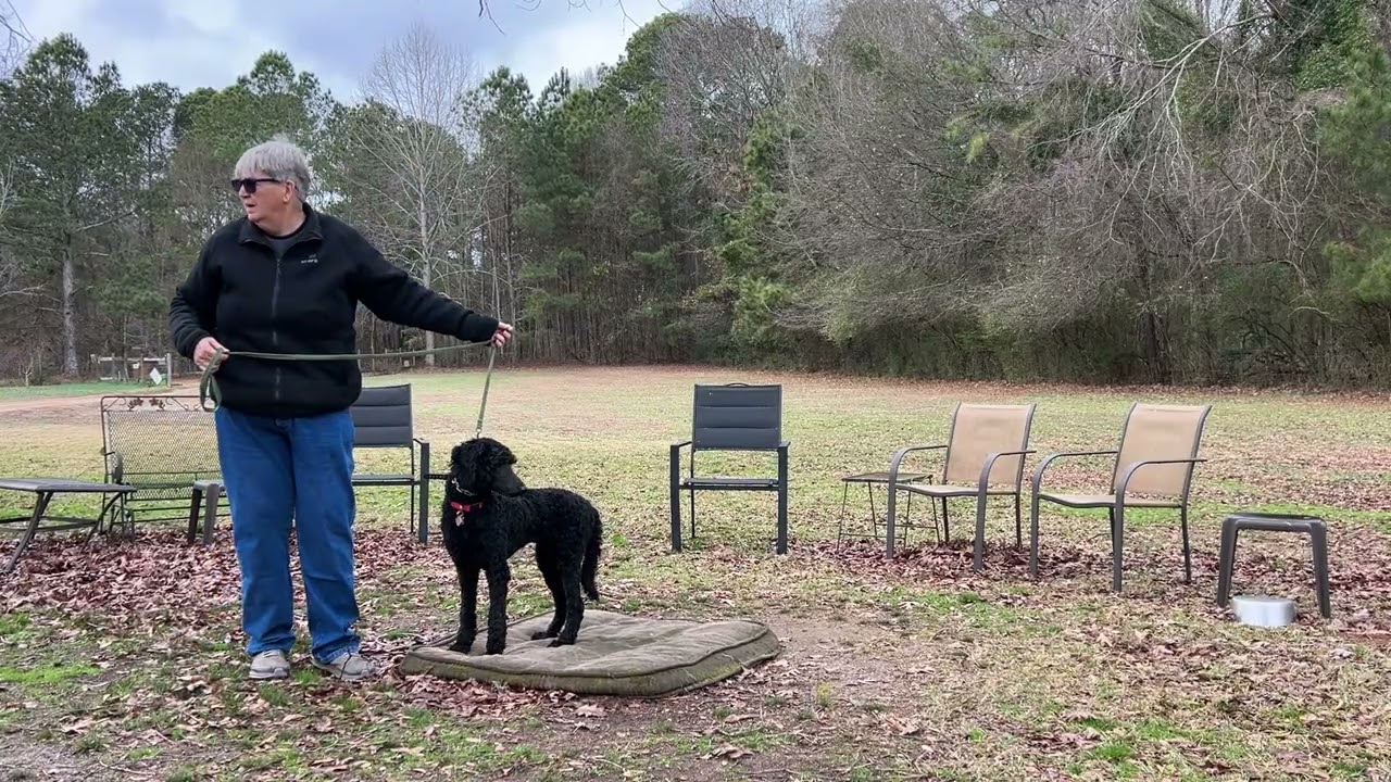 Yaffah - leash work + place intro