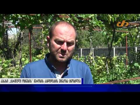 კასპში ,,ქართული ოცნების” მერობის კანდიდატის ვინაობა ცნობილია