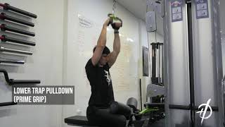 Lower Trap Pulldown (Prime Grip)
