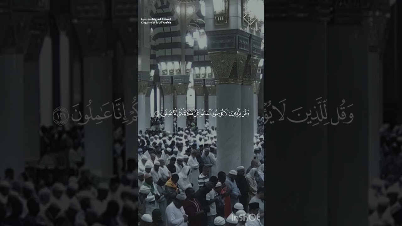 مقتطف من تلاوة فضيلة الشيخ #عبدالله_القرافي من صلاة العشاء ١٩ ذو القعدة 1446هـ