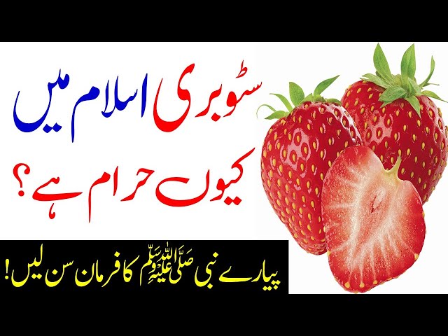 Kia Strawberry Islam Main Haram Hai | The Benefits of Strawberry | Islamic Teacher Standard quality (480p)