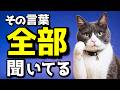 その言葉…猫は全部、聞いてます