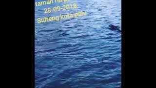 Gempa 28 palu donggal dan sigi
