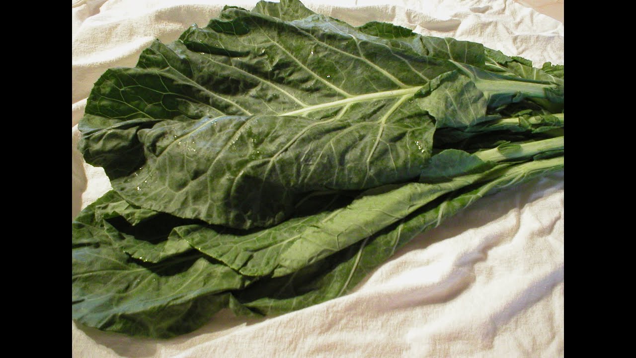 Collards – All You Need to Know