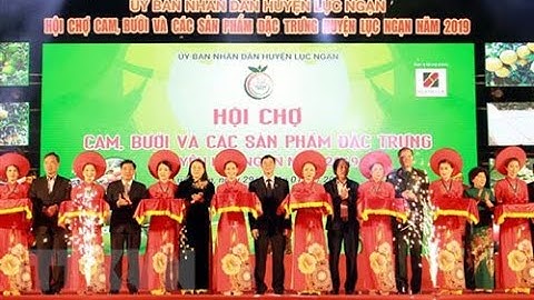 Khai mạc hội chợ cam bưởi và các sản phấm đặc trưng huyện Lục Ngạn năm 2019