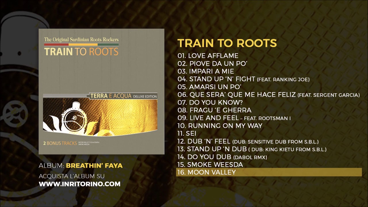 Train To Roots - Terra e acqua - 16 Moon valley