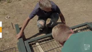 Doppelstabmattenzaun Bauen Hornbach Meisterschmiede