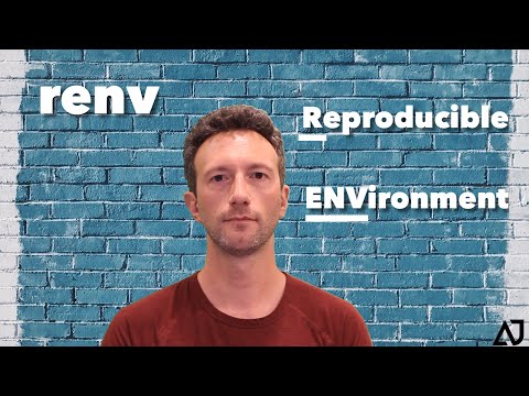 renv: How to create a stable environment and manage dependencies in R