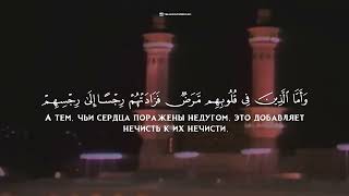 сура Ат Тауба 122-129 || шейх Али Джабир