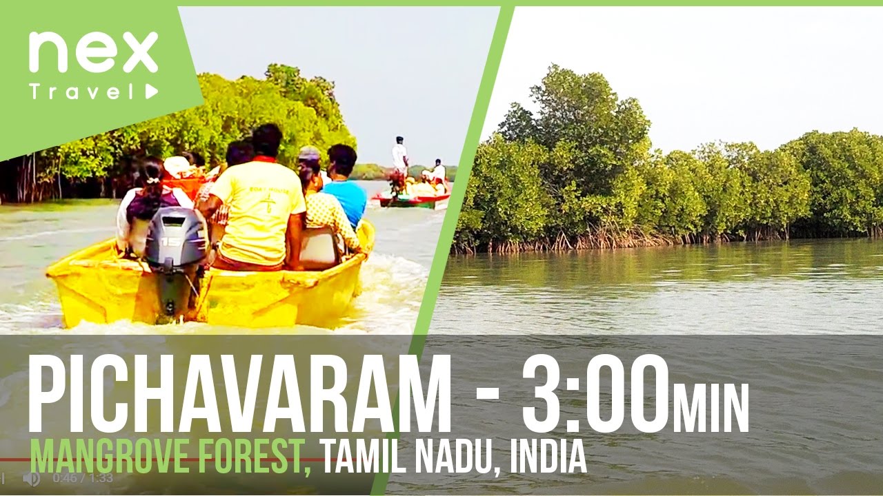 nearest tourist place in pichavaram