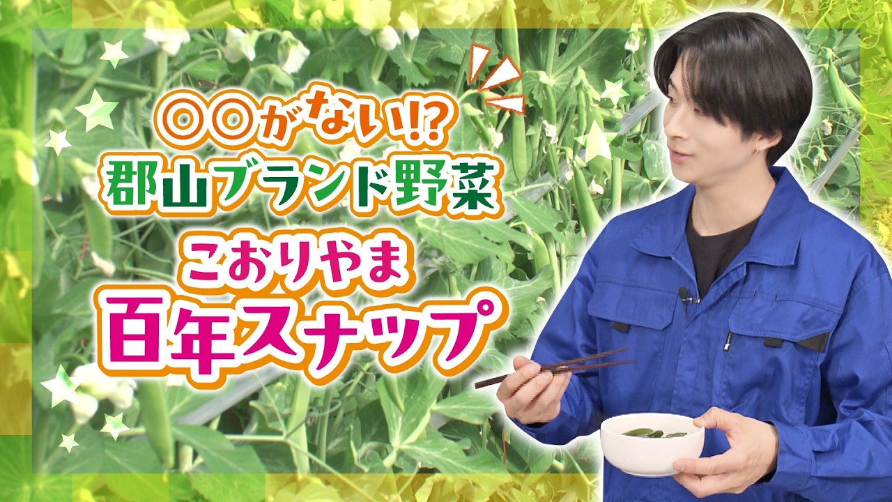【新ブランド野菜】澤夏がスジ取りのいらないスナップエンドウと初対面!