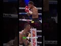 Why the Haney Jab is a Game Changer