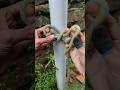 Secure knot, instant release