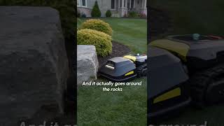 POV: Your Lawn Finally Found Peace 🌱