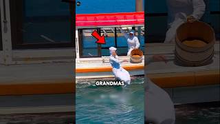 The 80-Year-Old Divers Dive 20M Deep Without Oxygen Tanks Daily In Japan 🤯😱
