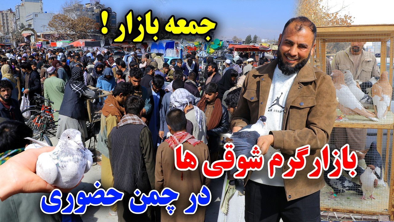 رمضان/جمعه بازار چمن حضوری کفتر های،3000 دالری قصه های جالب شوقی ها 