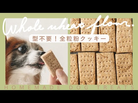 型抜き不要 全粒粉で作る犬のクッキー 手作り犬おやつレシピ Youtube