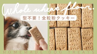 【型抜き不要】全粒粉で作る犬のクッキー｜手作り犬おやつレシピ