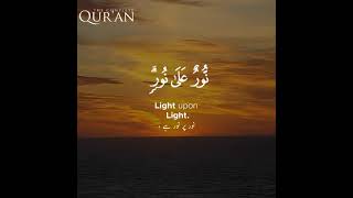 Surah Nur ( light ) | Ayah 35 | Sherif Mostafa | The Complete Quran #quran #shorts #recitation #dua