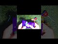 Oddly Satisfying ASMR 🤤✨ | Crinkle &amp; Crunch Sounds #shorts