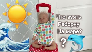 :     ?what to take reborn to the sea?
