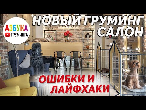 Новый салон для животных. Оборудование, ремонт, открытие