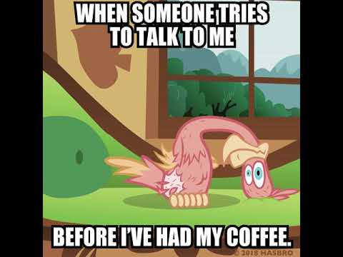 My Little Pony - Pre-Coffee Personality - My Little Pony - Pre-Coffee Personality