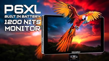 This Monitor Has a Built-In Battery?! FeelWorld P6XL Review