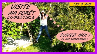 🌳VISITE🌳 : FORÊT COMESTIBLE, 3 ans APRES ??!!! Ca donne quoi??!!