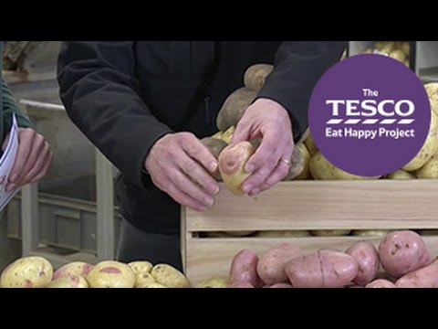 Video: Nederlandse aartappelvariëteite: kenmerke, foto en beskrywing