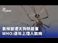 氣候變遷影響健康