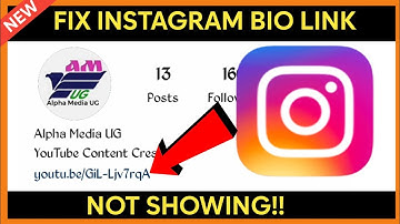 Fix Instagram Bio Link Not Showing Something went wrong please try again
