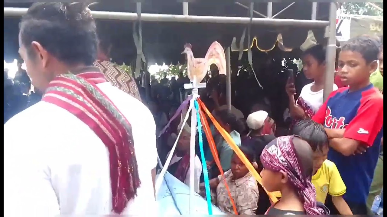 Acara Adat 5 Tahunan Wu'un Nuran Bau Baku Suku Balawelin