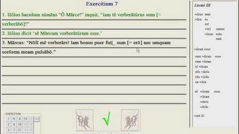 Lingua - 23.3 - Exercise Tutorial