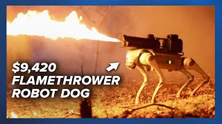 Thermonator, the $9,420 flamethrower robot dog, now available for purchase by News Refresh 393 views 3 weeks ago 3 minutes, 39 seconds