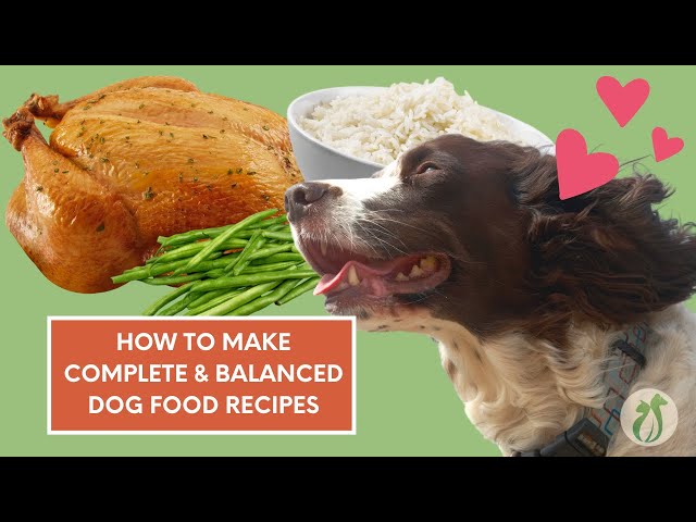 How to Make a Balanced Homemade Dog Food Recipe for FREE! 