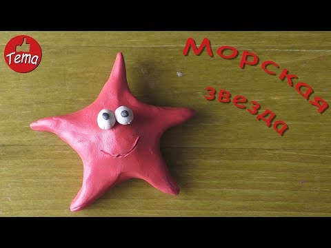 Как слепить морскую звезду из пластилина