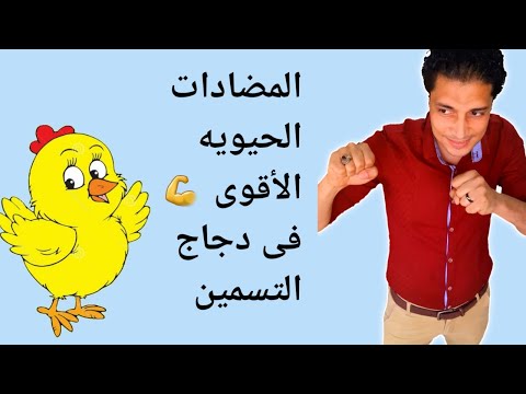 المضادات الحيوية في الدواجن اهم اربعة انواع