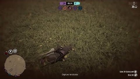 Red Dead Online : Yet Another Lag Switcher