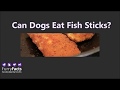 Can Dogs Eat Fish Sticks