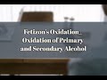 Fetizon S Oxidation Oxidation Of Primary And Secondary Alcohol 