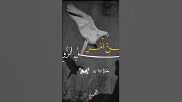 ويسألونك عن الروح الشيخ محمد عبد العزيز حصان 