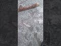 7.10.2025 г подледная рыбалка открыта