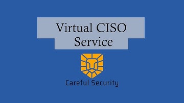 Virtual CISO Services: Guide to vCISO Services