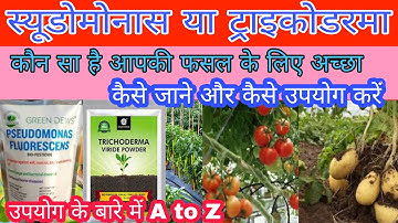 trichoderma vs pseudomonas | trichoderma and pseudomonas | #trichoderma #pseudomonas