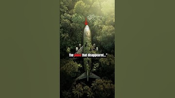 What Really Happened to the Missing Plane?
