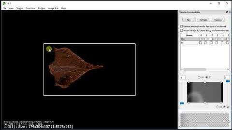 Scale Bounding Box and Volume Offset