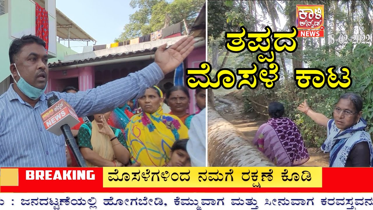 Non Stoppable Crocodile Attttaack'' | Peoples are Helpless | Kali Kannada News Dandeli  18 02 2022