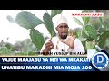 Maajabu ya mti wa makakati unatibu maradhi mia moja 100 sheikh yussuf bin ally