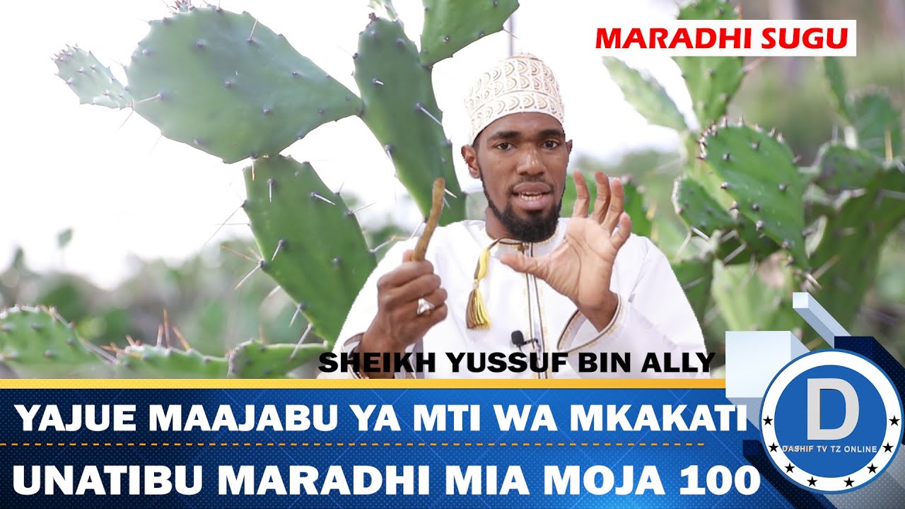 MAAJABU YA MTI WA MAKAKATI UNATIBU MARADHI MIA MOJA 100 |SHEIKH YUSSUF BIN ALLY